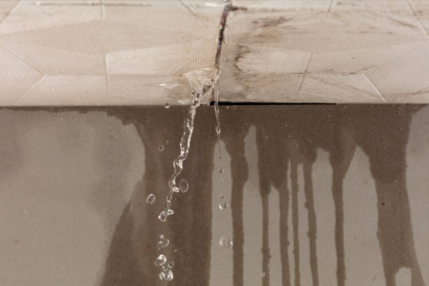 Professional Burst Pipe Cleanup technician working in Waddy, KY